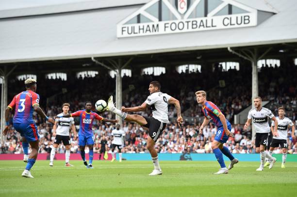 行为不仅会 行为不仅会